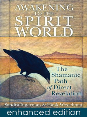 cover image of Awakening to the Spirit World